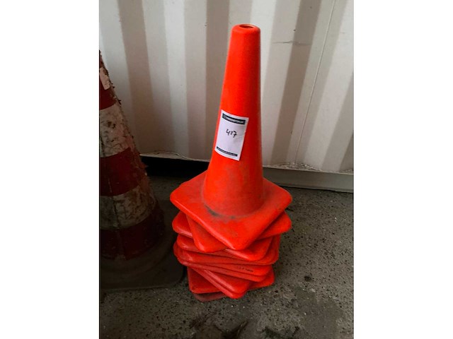 Pion (10x) - afbeelding 2 van  3