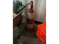 Pion (10x) - afbeelding 3 van  3