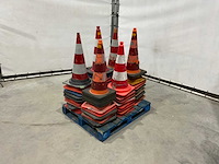 Pion (58x) - afbeelding 1 van  3