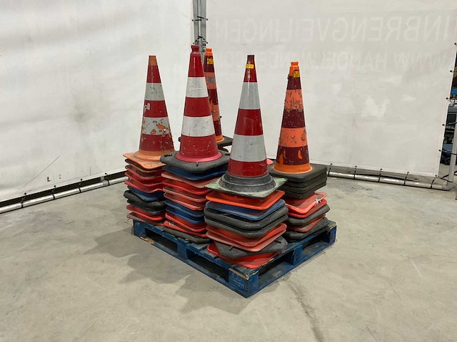 Pion (58x) - afbeelding 3 van  3