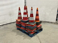 Pion (58x) - afbeelding 3 van  3