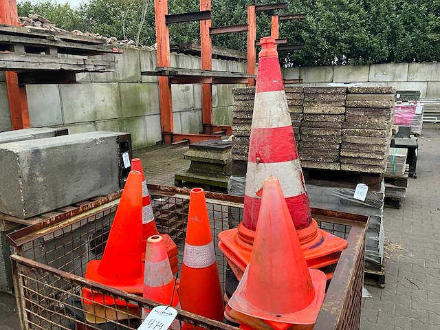 Pionnen - afbeelding 2 van  4