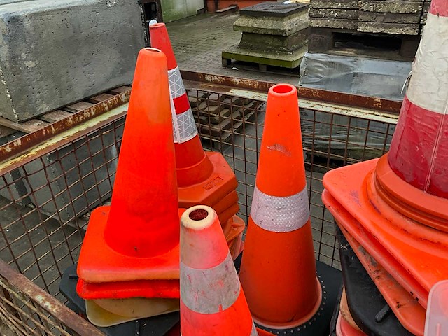 Pionnen - afbeelding 4 van  4