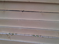 Pir afschotplaten - 27,36m2 - afbeelding 2 van  2