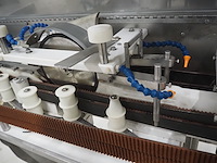 Pisces - afbeelding 21 van  22