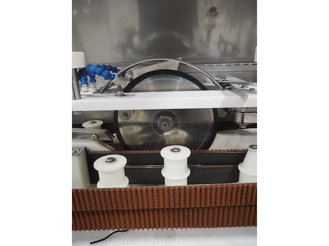 Pisces - afbeelding 22 van  22