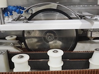 Pisces - afbeelding 22 van  22