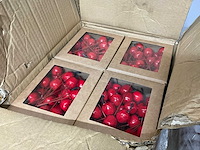 Pk apples on wire red-2,5 and 3 cm x768 (13824x) - afbeelding 1 van  2