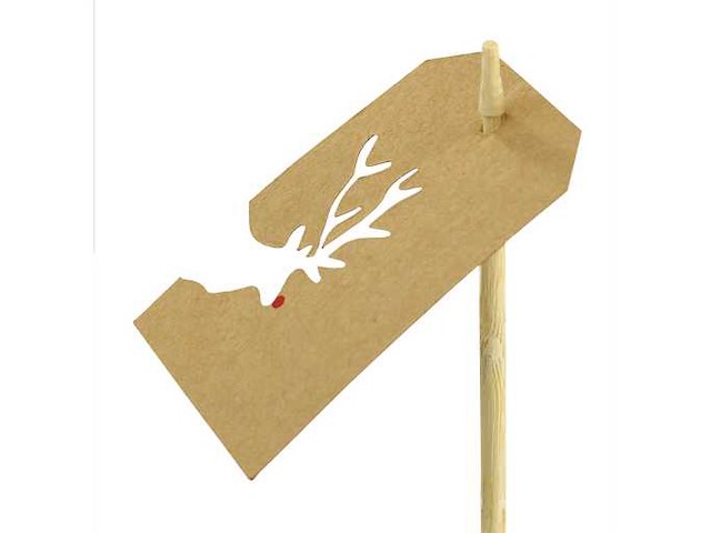 Pk rudolph pick rood 15 (185x) - afbeelding 1 van  1