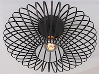 Plafondlamp dunbar anne light, 3097zw, zwart, bouwjaar 2025, nieuw in doos - afbeelding 2 van  7