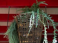 Plafondplank met kunstplanten - afbeelding 5 van  6