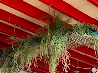 Plafondplank met kunstplanten - afbeelding 2 van  5