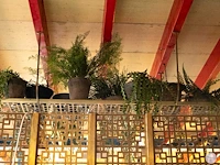 Plafondplank met kunstplanten - afbeelding 4 van  6