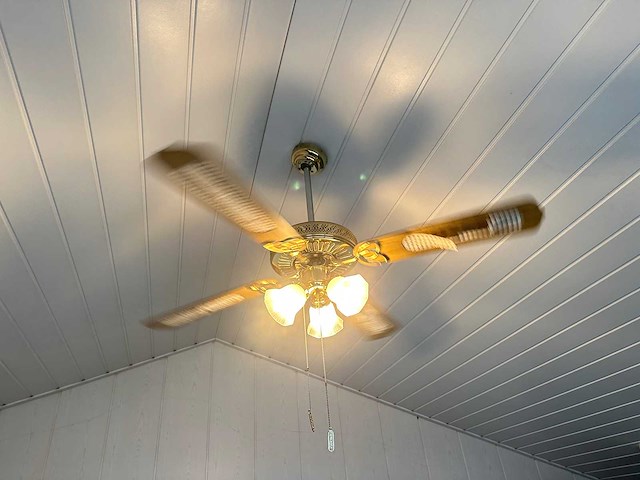 Plafondventilator met verlichting - afbeelding 2 van  3