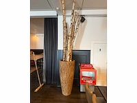 Plant in pot 250 cm