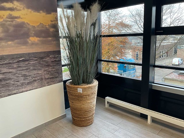 Plant in pot (2x) - afbeelding 1 van  2