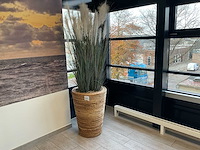 Plant in pot (2x) - afbeelding 1 van  2