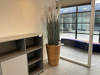 Plant in pot (2x) - afbeelding 2 van  2