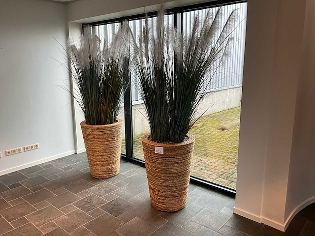 Plant in pot (3x) - afbeelding 1 van  2