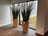 Plant in pot (3x) - afbeelding 1 van  2