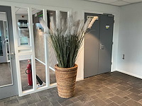 Plant in pot (3x) - afbeelding 2 van  2