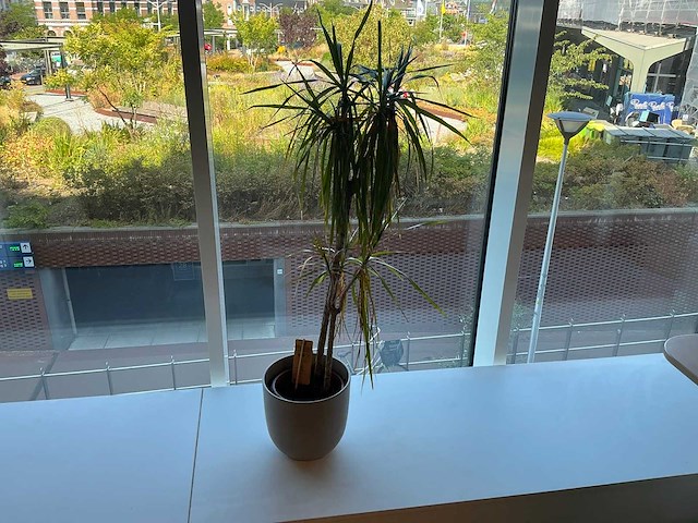 Plant in pot (7x) - afbeelding 1 van  1
