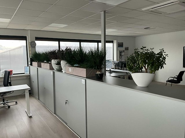 Plant in pot (8x) - afbeelding 1 van  6