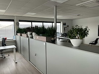 Plant in pot (8x) - afbeelding 1 van  6