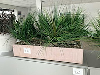 Plant in pot (8x) - afbeelding 4 van  6