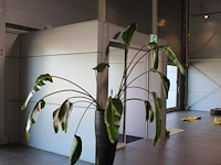 Plant in pot, hoogte pot 100 cm. totale hoogte circa 270 cm. - afbeelding 1 van  3