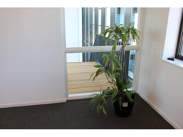Plant in pot. hoogte pot 32 cm - afbeelding 1 van  2
