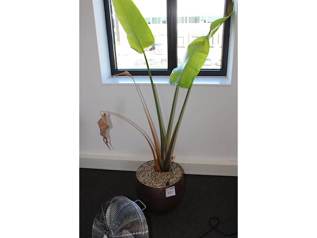 Plant in pot. hoogte pot 32 cm - afbeelding 2 van  2