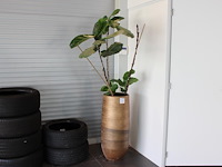 Plant in pot. hoogte pot 92 cm.