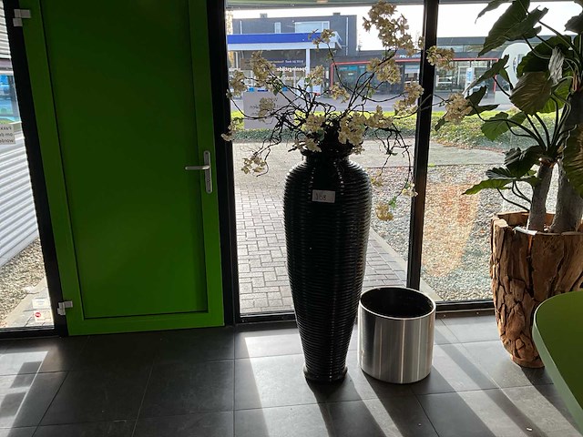 Plant in pot - afbeelding 1 van  4