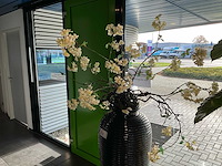 Plant in pot - afbeelding 3 van  4