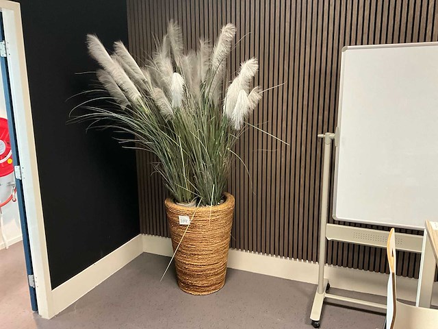 Plant in pot - afbeelding 1 van  4