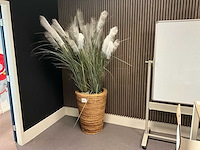 Plant in pot - afbeelding 1 van  4