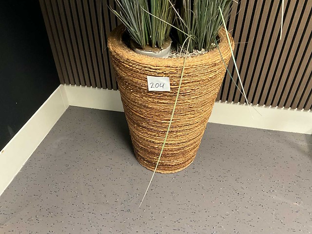 Plant in pot - afbeelding 2 van  4