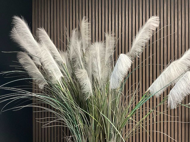 Plant in pot - afbeelding 4 van  4