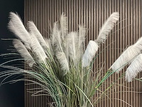 Plant in pot - afbeelding 4 van  4