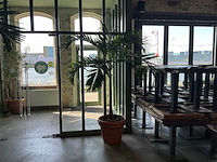 Plant in pot - afbeelding 1 van  3