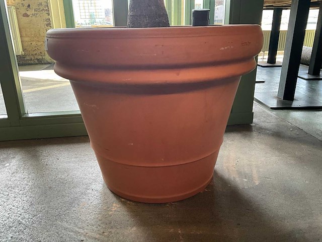 Plant in pot - afbeelding 3 van  3