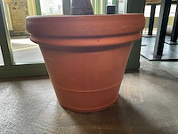 Plant in pot - afbeelding 3 van  3