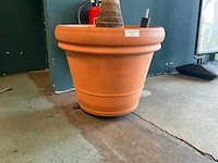 Plant in pot - afbeelding 6 van  7