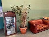 Plant in pot - afbeelding 1 van  5