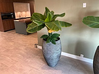 Plant met pot (2x) - afbeelding 1 van  5