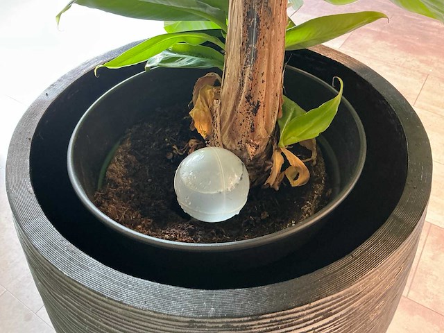 Plant met pot (2x) - afbeelding 3 van  5