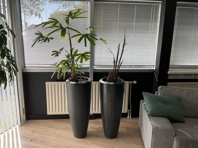 Plant met pot (2x) - afbeelding 1 van  4