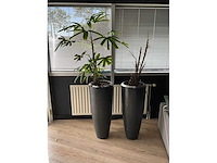 Plant met pot (2x) - afbeelding 2 van  4