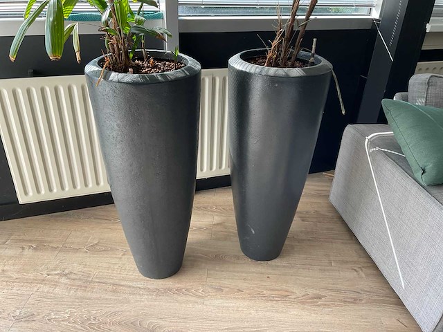 Plant met pot (2x) - afbeelding 3 van  4